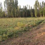 زمین ساخت ویلا آبسرد دماوند